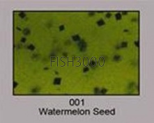 #001 Water. Seed 