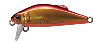  Tackle House Buffet 38FS 113. Gold red/OB