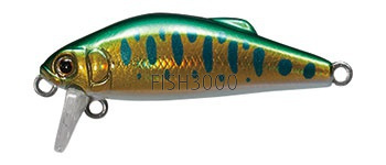  Tackle House Buffet 38FS 117. Gold green Trout