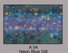 #A04 Neon Blue Gill