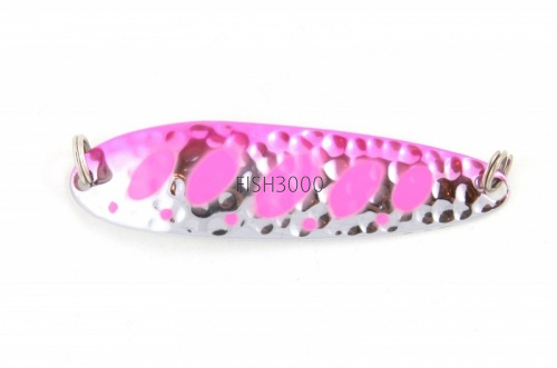 023  Hammer S. Pink Trout