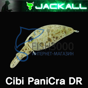  Jackall Panicra DR 