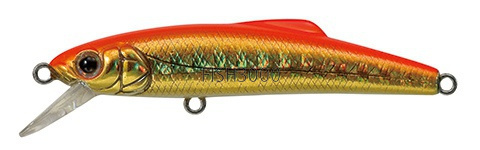  Tackle House Buffet Mute 50S 3 Gold orange