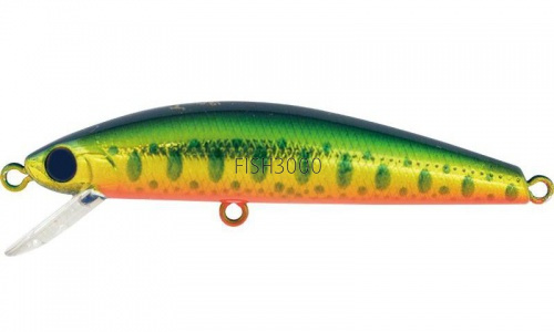  Jackson Trout Tune 55F KY