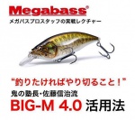  Megabass Big-M 4.0