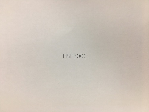   HitFish Ribby Shad 3 R104