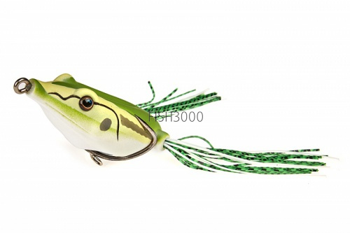  Kahara Frog 04 JP Tree Frog