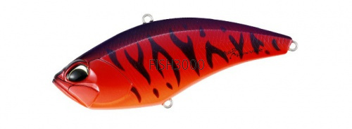  DUO Realis Apex Vibe 100S CCC3069 Red Tiger