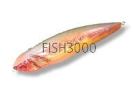  Rosso Corsa Calappa 01 Cherrybulb-Gassfish